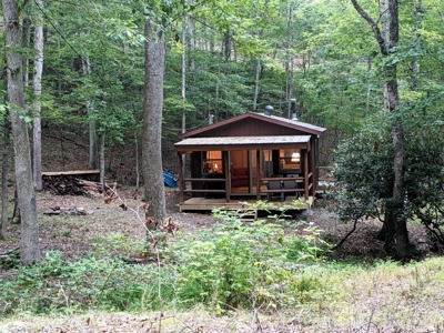 Cabin & 16 acres adjoining National Forest Wytheville, VA - image 14