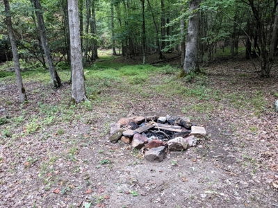 Cabin & 16 acres adjoining National Forest Wytheville, VA - image 9