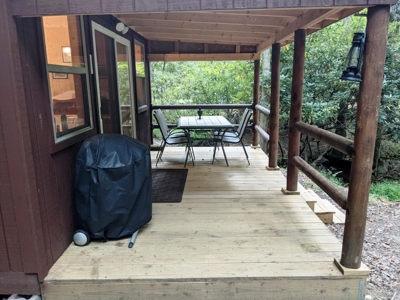 Cabin & 16 acres adjoining National Forest Wytheville, VA - image 23