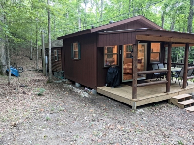 Cabin & 16 acres adjoining National Forest Wytheville, VA - image 22