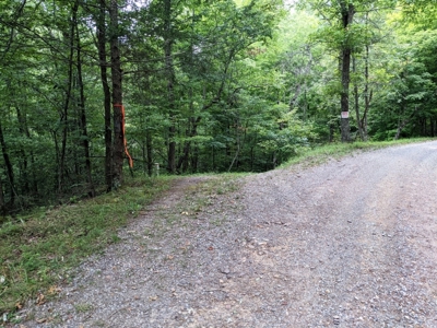 Cabin & 16 acres adjoining National Forest Wytheville, VA - image 25