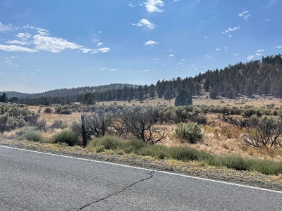 3.5 acres of Vacant land in Modoc Co. - image 3