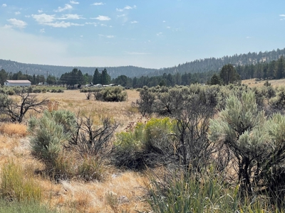 3.5 acres of Vacant land in Modoc Co. - image 5