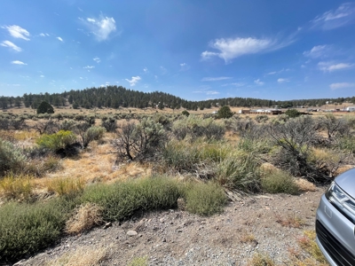 3.5 acres of Vacant land in Modoc Co. - image 7