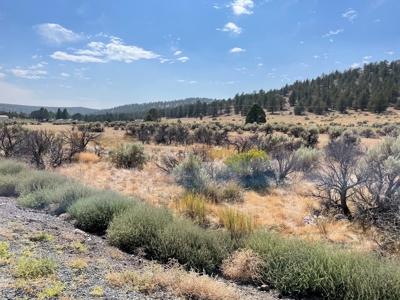 3.5 acres of Vacant land in Modoc Co. - image 1