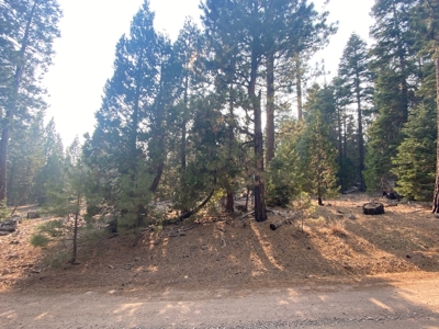 Land For Sale In Alturas, CA! - image 2