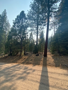 Land For Sale In Alturas, CA! - image 4