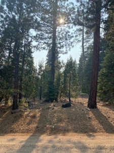 Land For Sale In Alturas, CA! - image 1
