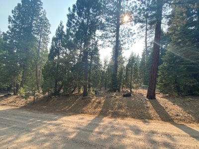 Land For Sale In Alturas, CA! - image 3