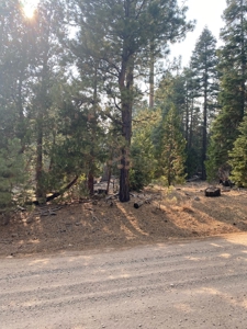 Land For Sale In Alturas, CA! - image 5