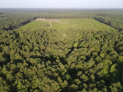 Hunting Land in Grant County Arkansas near Grapevine - image 1