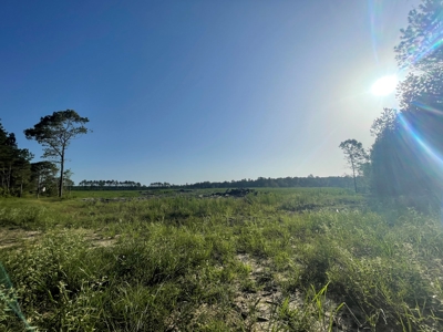 Hunting Land in Grant County Arkansas near Grapevine - image 35