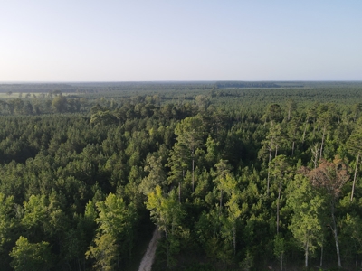 Hunting Land in Grant County Arkansas near Grapevine - image 12