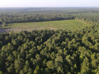 Hunting Land in Grant County Arkansas near Grapevine - image 8
