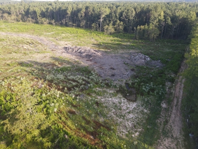 Hunting Land in Grant County Arkansas near Grapevine - image 3