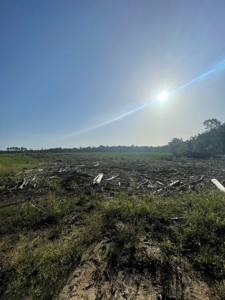 Hunting Land in Grant County Arkansas near Grapevine - image 37