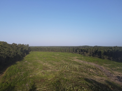 Hunting Land in Grant County Arkansas near Grapevine - image 2