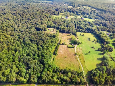 Farm Life At It's Best In Northern VA - image 3