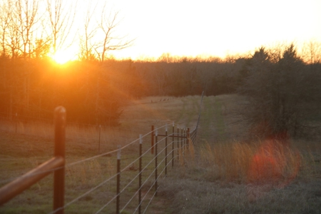 Choctaw River Ranch - image 45