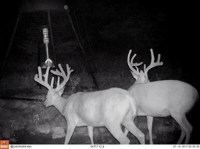 Choctaw River Ranch - image 43