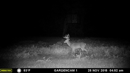 Choctaw River Ranch - image 47