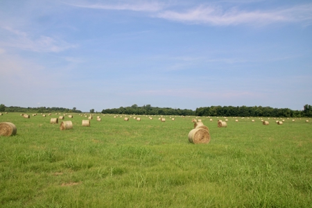 Choctaw River Ranch - image 18