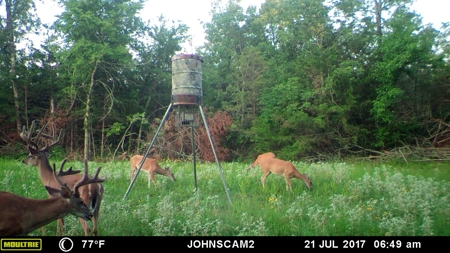 Choctaw River Ranch - image 29