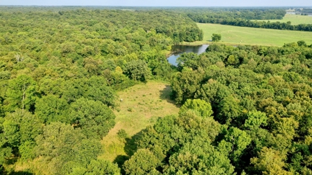 Choctaw River Ranch - image 4
