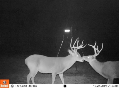 Choctaw River Ranch - image 36