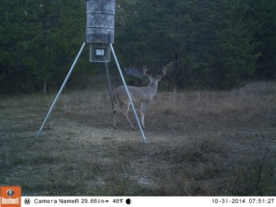 Choctaw River Ranch - image 49