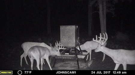 Choctaw River Ranch - image 26