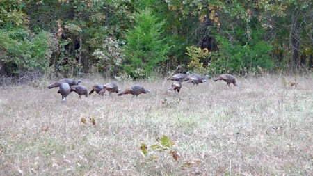 Choctaw River Ranch - image 23