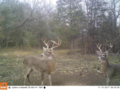 Choctaw River Ranch - image 28