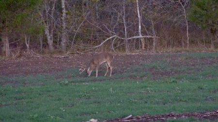 Choctaw River Ranch - image 30
