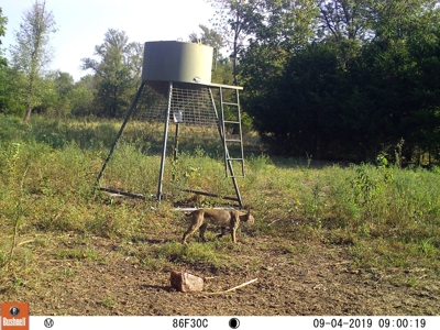 Choctaw River Ranch - image 35