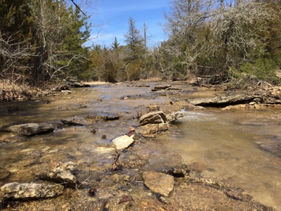 Choctaw River Ranch - image 32