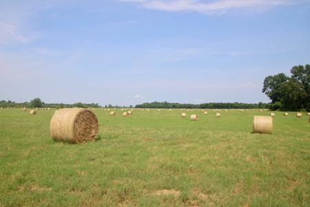 Choctaw River Ranch - image 19