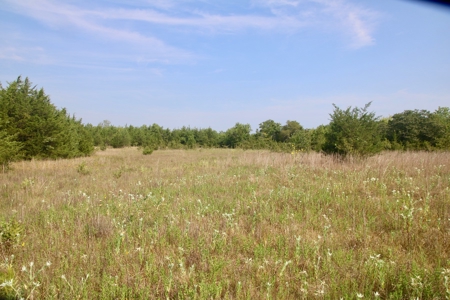 Choctaw River Ranch - image 15