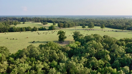 Choctaw River Ranch - image 22
