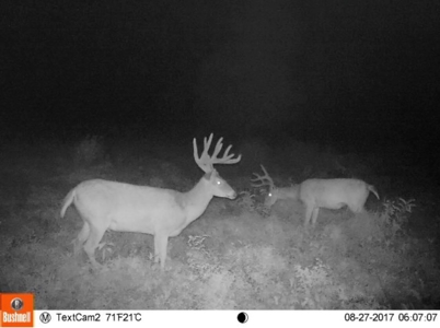 Choctaw River Ranch - image 27