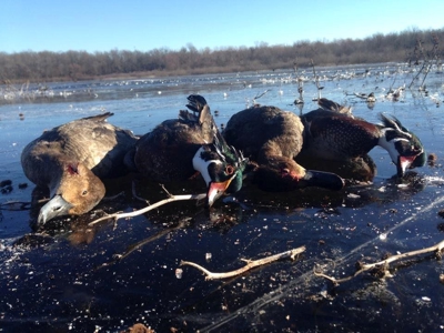 Choctaw River Ranch - image 24