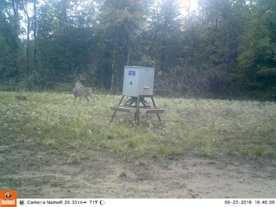Choctaw River Ranch - image 34