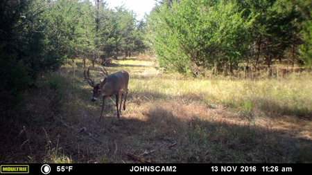 Choctaw River Ranch - image 46