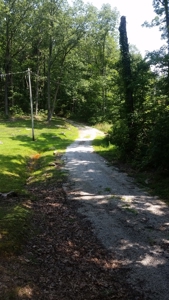 For sale Cabin on the Mountain. Smith Mtn Rd Rockwood TN - image 9