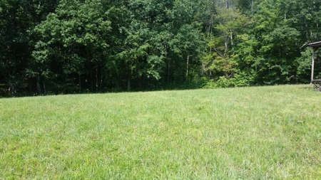 For sale Cabin on the Mountain. Smith Mtn Rd Rockwood TN - image 2