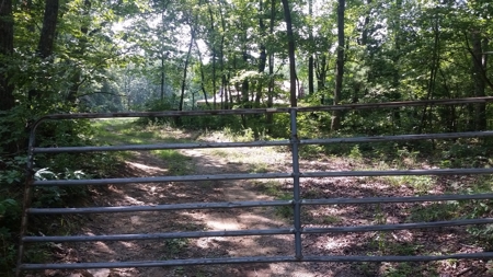For sale Cabin on the Mountain. Smith Mtn Rd Rockwood TN - image 7