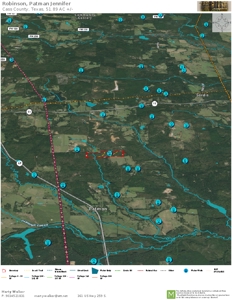 Hunting Land For Sale, Timberland For Sale - image 3