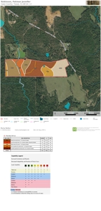 Hunting Land For Sale, Timberland For Sale - image 2