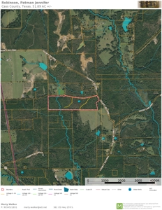 Hunting Land For Sale, Timberland For Sale - image 1