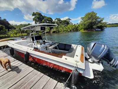 Turn-key hotel, Dolphin Bay, Bocas del Toro - image 41